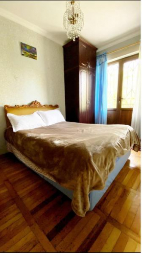 David,s Apartment in palm trees alley on Agmashenebeli
